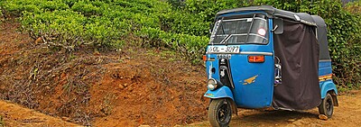 Vehicle Insurance
